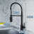 Dowell Pull Down Kitchen Faucet-43235577