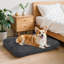 Coussin de siège pour animal de compagnie-863325965-863325967