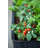 Kenyen Stylish Raised Garden Bed with Self-Watering and Drainage System Elevated Raised Planter for Backyard Patio Balcony-955891401