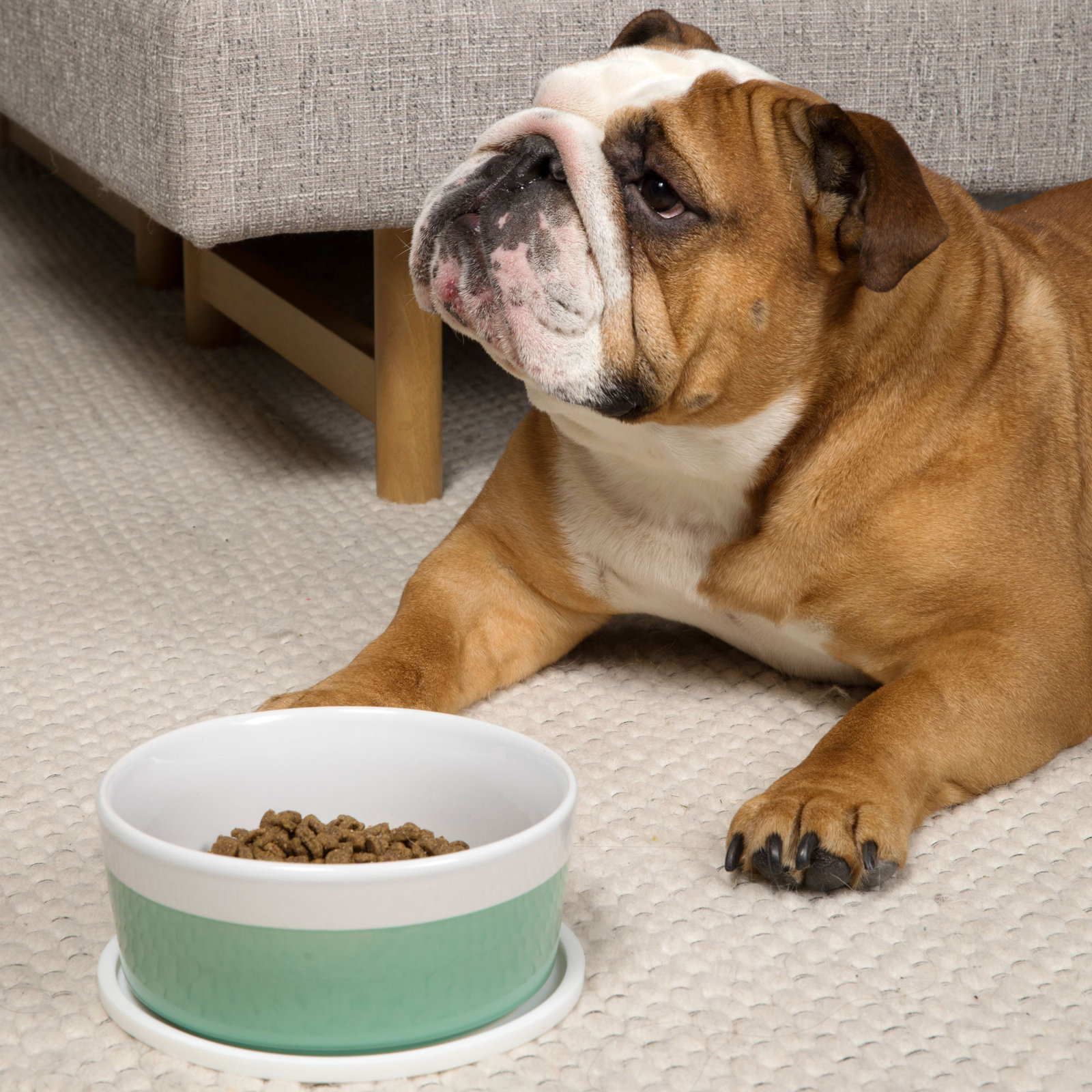 Circle Habit Pet Feeding Mat, Small (6"), White