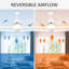 Nagma Ceiling Fan with Light Kit