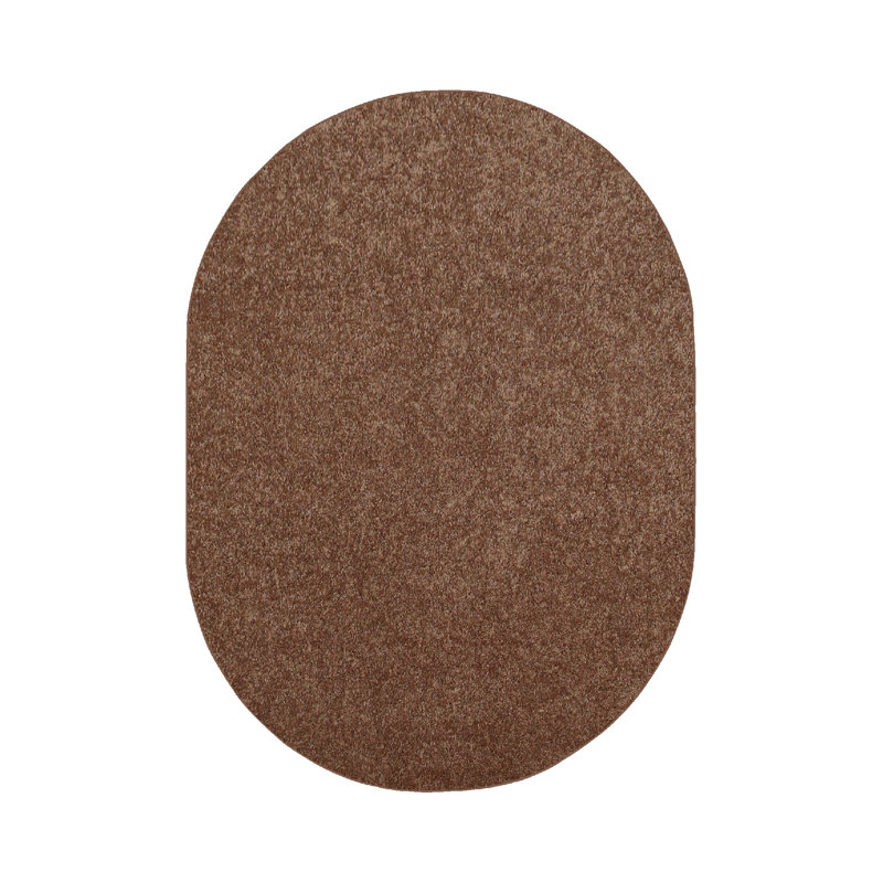 Modern Plush Pet and Kids Friendly Solid Color Area Rugs, Stain & Fade Resistance, Bedroom, Playroom and Kidsroom, Event, Wedding, Perfect for Living Room, Dining Room, Brown Rug