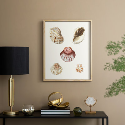 «Pastel Knorr Shells», reproduction encadrée en bois massif
