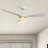 52'' Ceiling Fan with LED Lights
