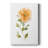Bright Botanical II -Gallery Wrapped Cavas-333882726