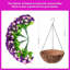 Arrangement en panier-1053561202