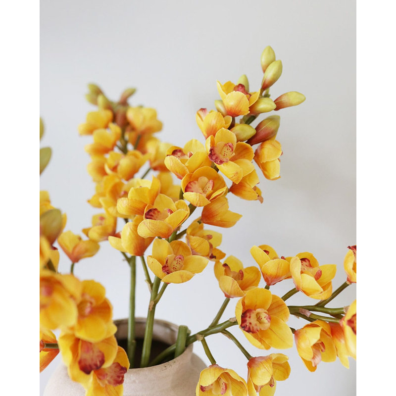 Cream Cymbidium Orchid 33", Yellow Orange