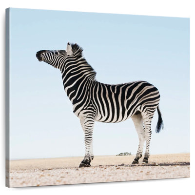 Brampt Moorreesburg Zebra