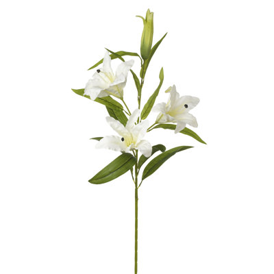 106 cm H Lillies