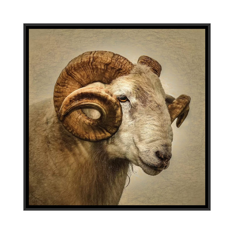 « RAM » par Mark Gemmell-impression d’art graphique, Pas de tapis, H 18 po x l 18 po x 1,5 po, Toile avec cadre noir