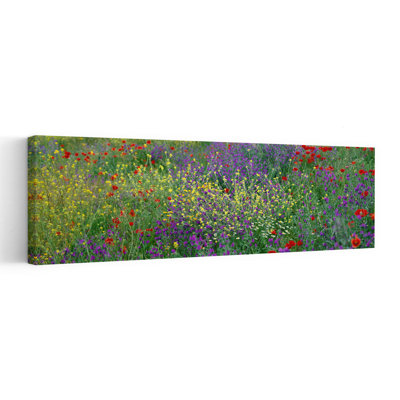 Wildflowers El Escorial Spain Abstract Contemporary Flower Landscape Wall Art