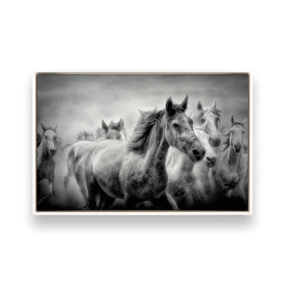 Thundering Hooves Canvas Print