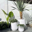 Pot de fleurs Dorlis Fiberstone-930299744-930299750