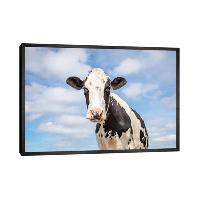 Sweet Cow by Clara Bastian - Print on Canvas