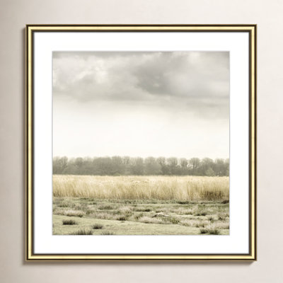 Henri "Meadowland" Print by Danita Delimont
