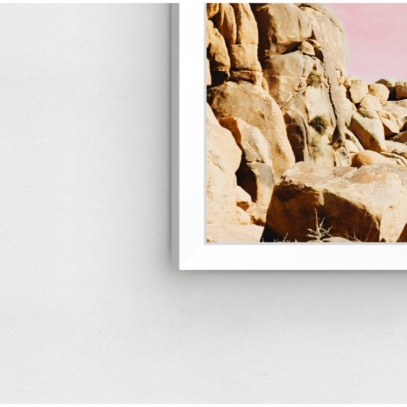 « joshua tree rose », impression, H 22 po x l 32 po x P 0,5 po, Cadre photo