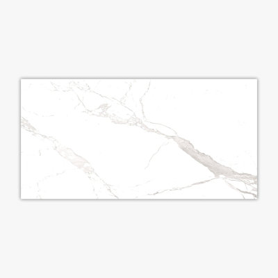 Feuille de mosaïque en porcelaine Alaska