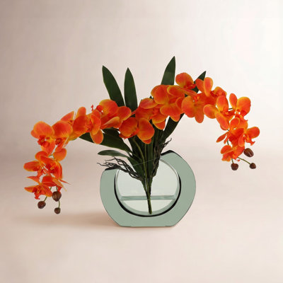 Transitional Isle Orchid Floral Arrangement