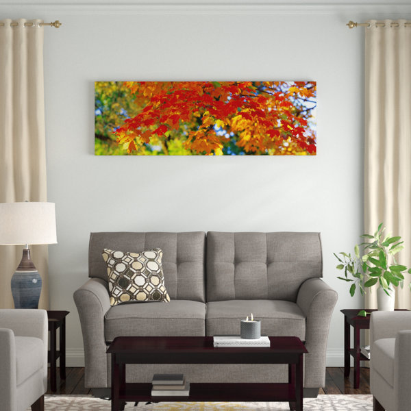 East Urban Home 'Fall Foliage, Guilford, Baltimore City, Maryland ...