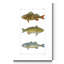 Reproduction d’art sur toile tendue « Hot Fish I »-854536755