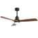 132cm 1 - Light Led Ceiling Fan Light With Remote Control