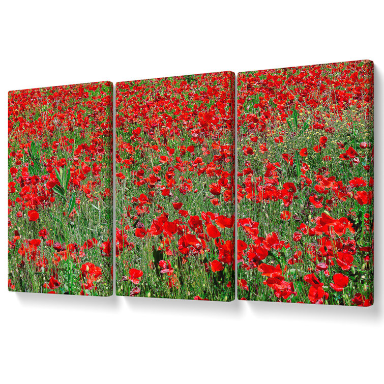 Red Poppy Field - 3 Piece Wrapped Canvas Print