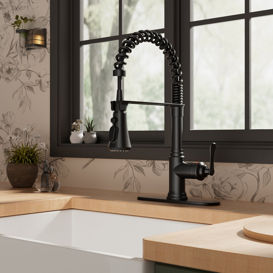 FURUISI Pull Down Single Handle Kitchen Faucet with Deck Plate FURUISI 