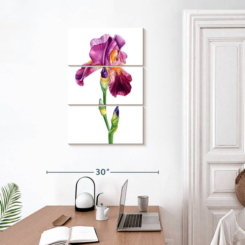 Belle fleur d'iris