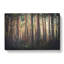 Pine Tree Forest In Spring In Abstract - Wrapped Canvas-55340934