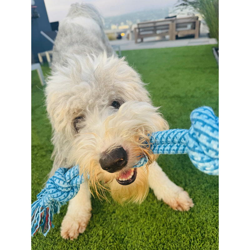 Corde de remorquage nouée - jouet à mâcher durable pour chiens