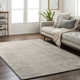 Alba Area Rug in Beige Slate