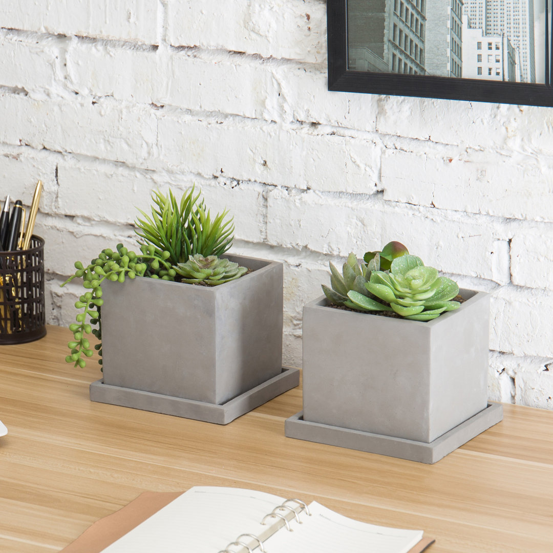 Square Concrete Succlent Pot Planter (Set of 2) 17 Stories