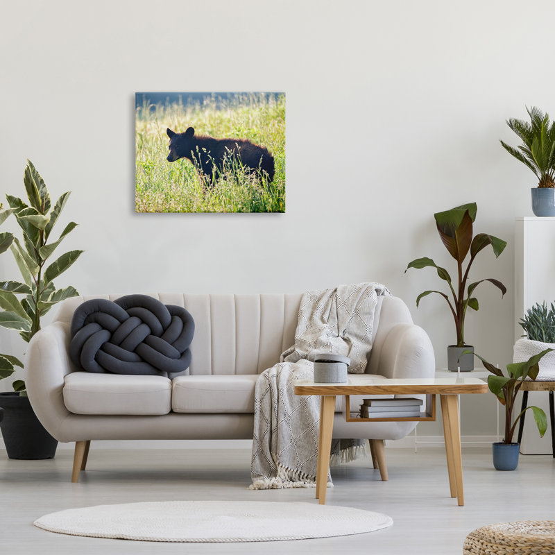 «Baby Bear Tall Grassland Floater» par Rick Berk, H 24 po x l 30 po x P 1,5 po, Toile tendue