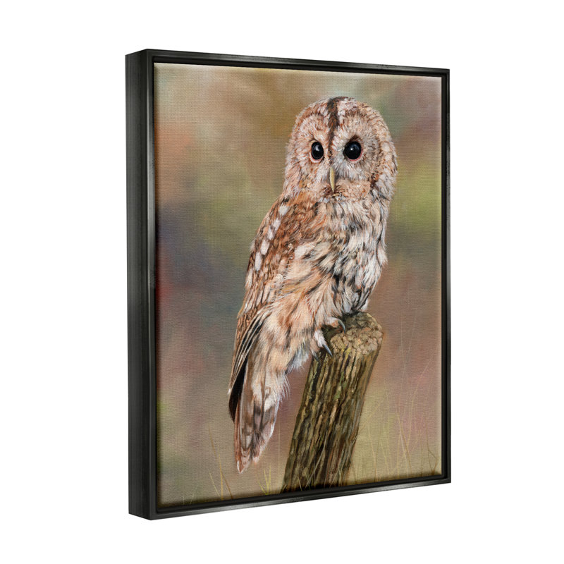 «Brown Tawny Owl» perché dans une forêt complexe par David Stribble - peinture sur toile tendue, H 31 po x l 25 po x P 1,5 po