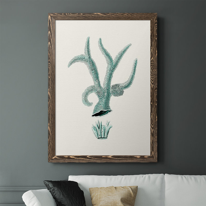 «Alarica Antique Coastal Coral», reproduction d'art sur toile encadrée, Noyer, H 43,5 po x l 31,5 po x P 1 po