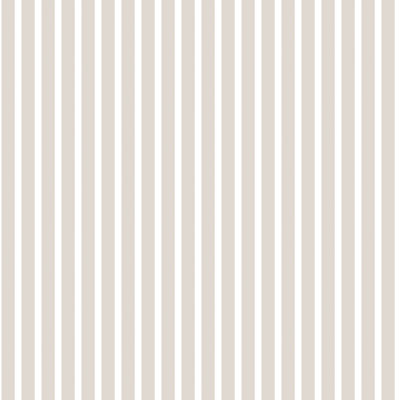 Ayden 10m x 53cm Matte Wallpaper Roll