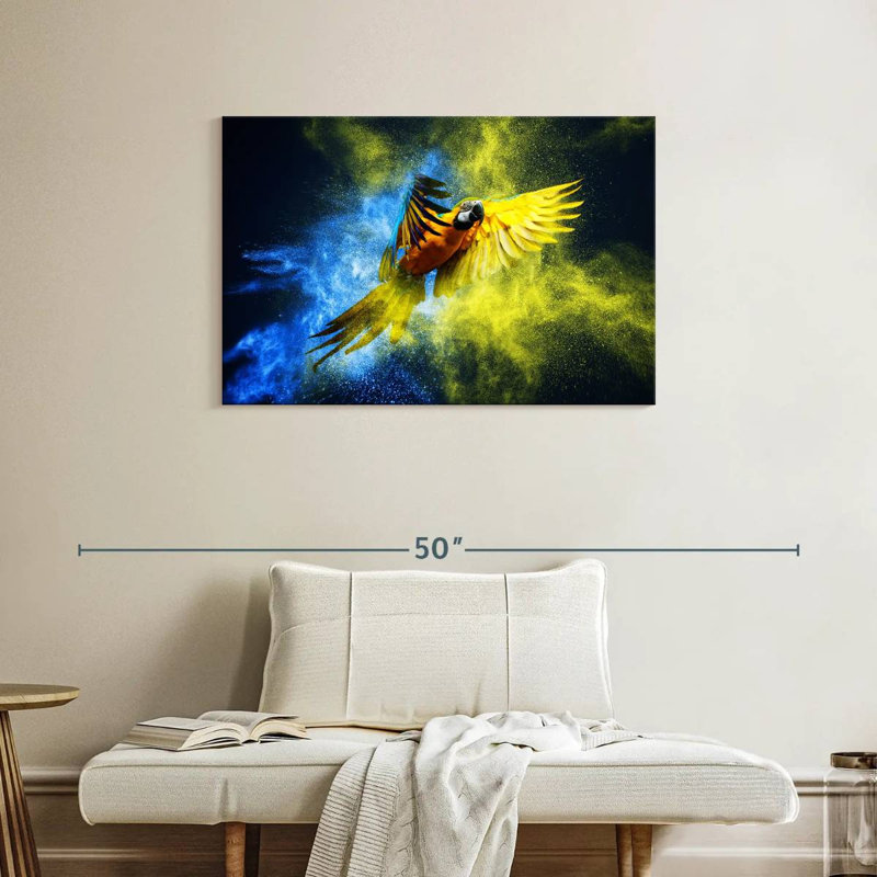 Brampt Striking Macaw, 24" H x 36" W