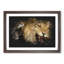 Two Lions - Picture Frame Graphic Art-62807937-62807939