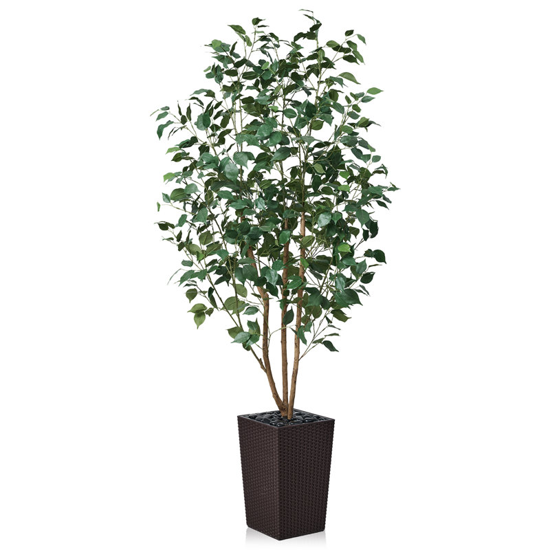Adcock UV Protected Artificial Ficus Tree with Decorative Base, Faux Ficus Plant with Natural Trunk, 72" H x 24" W x 24" D