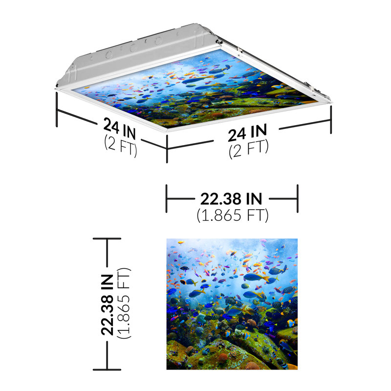 Couvre-lumière décoratif flexible océan