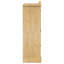 Saguache 3 Door Wardrobe