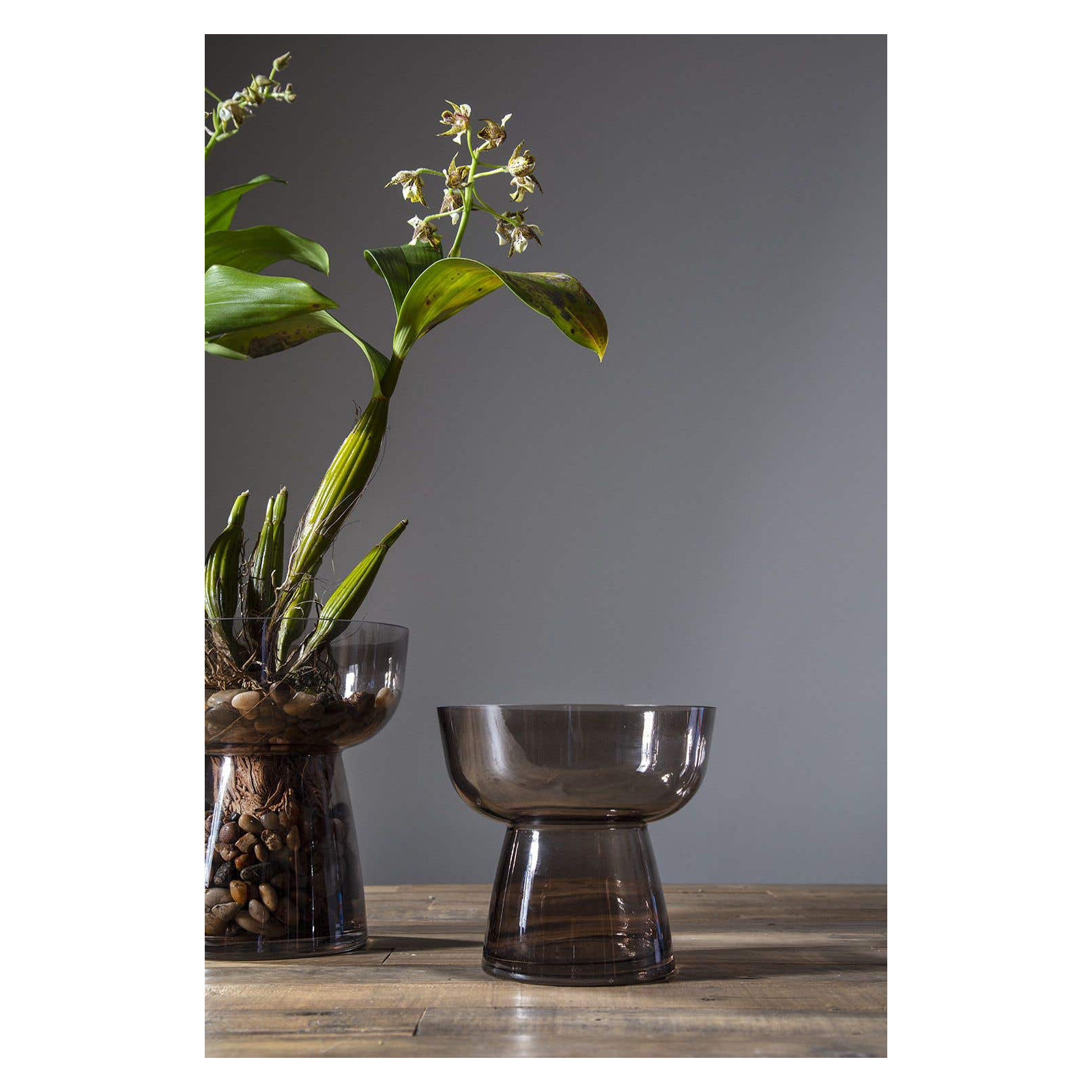 Aylor Handmade Glass Table Vase, 7" H x 7.75" W x 7.75" D