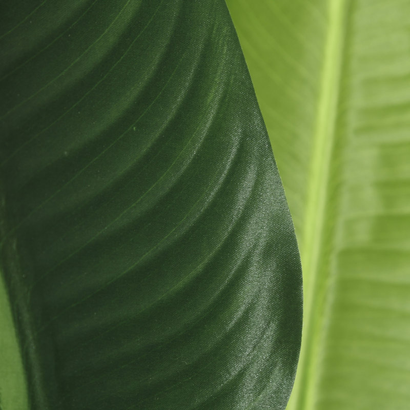 Tall Artificial Banana Leaf Tree Faux Large Plants in Pot, 150cm H x 98cm W x 50cm D
