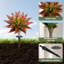 Agave artificielle-305410914-310408673