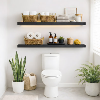 2 Pieces Floating Shelves, Wall Shelf Display Shelves for Living Room/Bedroom/Bathroom/Kitchen