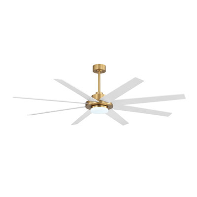 72inch Indoor 8 Solid Wood Double-Sided Blades Ceiling Fan with LED light Remote Remote DC Motor Down-rod Mount, White and Gold