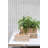 Wooden Decorative Box