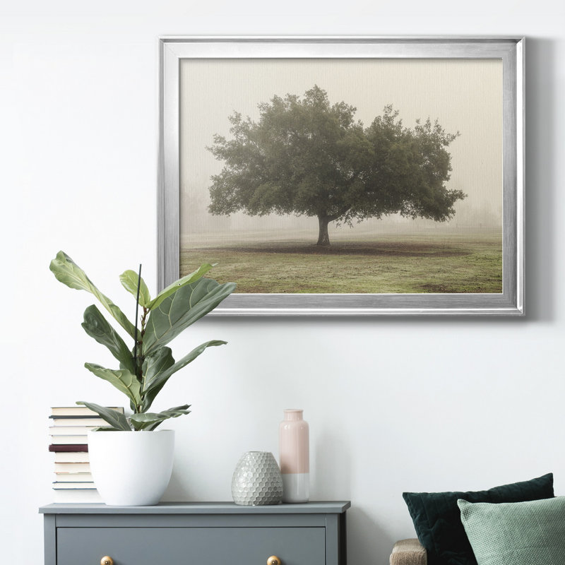 «Trees In The Fog II», reproduction encadrée de qualité supérieure - prête à être accrochée, H 30,5 po x l 42,5 po x P 1 po