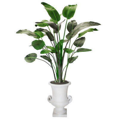 Plante de palmier en urn
