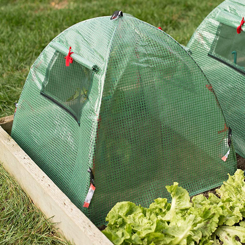 28.25" W x 28.25" D Mini Greenhouse, 24.25" H x 24.25" W x 22.5" D